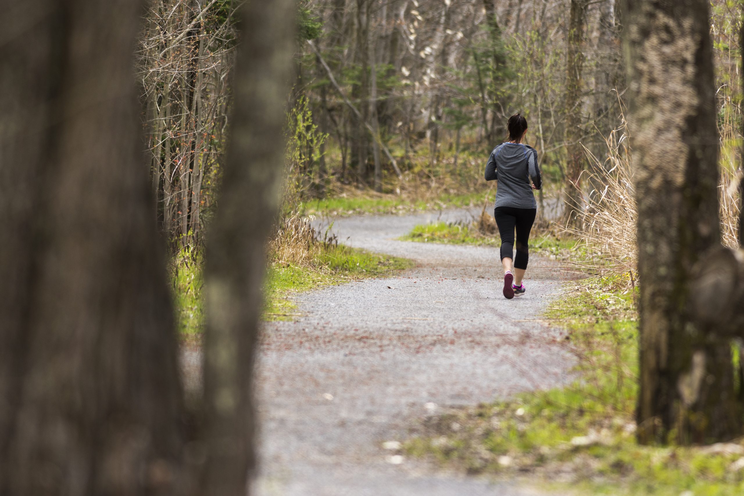 Sentier Champ Tre De Notre Dame Des Prairies Activit S Quoi Faire