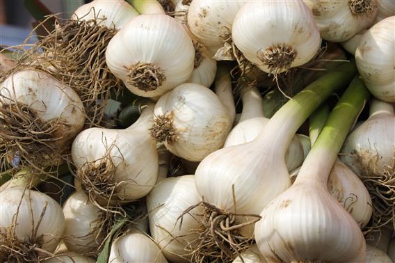 Marché public Joliette-2