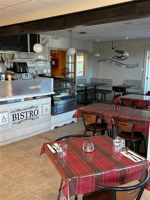 1. domaine enchantée (&copy;Domaine de la Forêt enchantée)