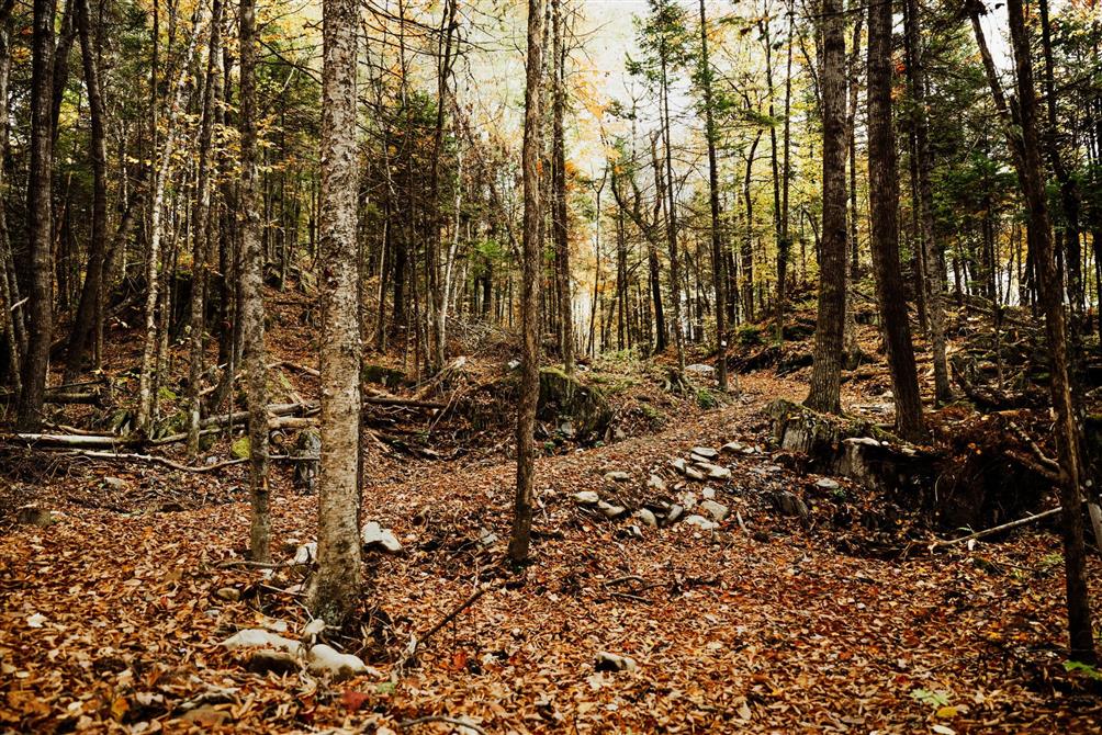 1.Vélo de montagne_automne2024_MBphotographie (&copy;@MB Photographie)