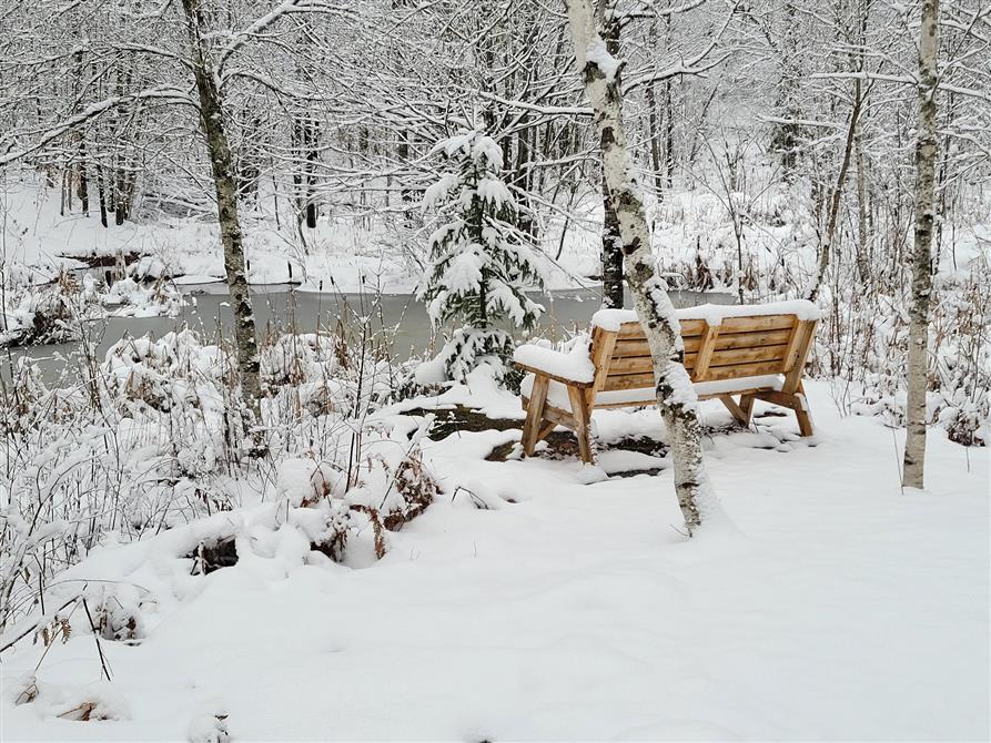 Sentier du Petit Lac (&copy;Dudswell; Roch Côté)