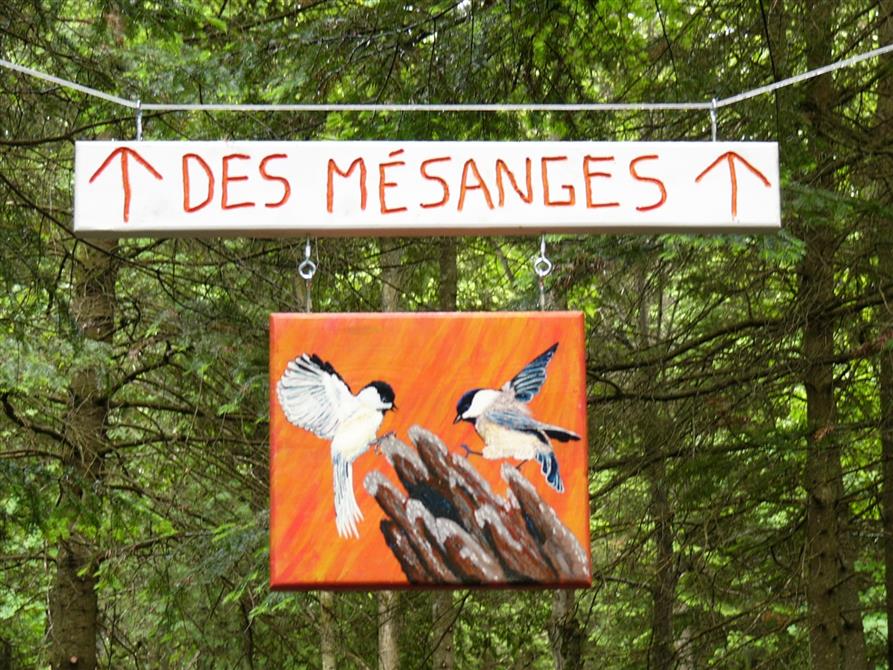 Sentier des Mésanges (&copy;Parc régional du Mont-Ham)