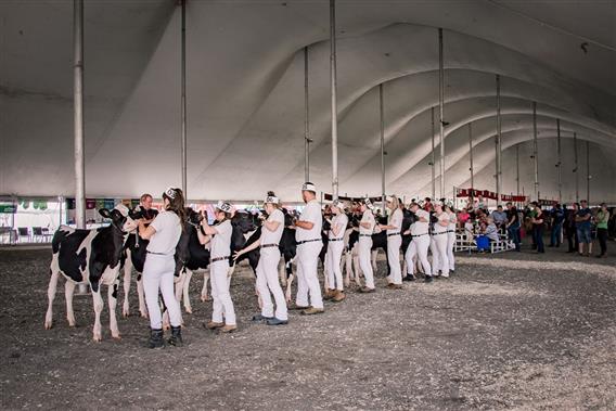 Cultura - Expo Rive-Nord - 4