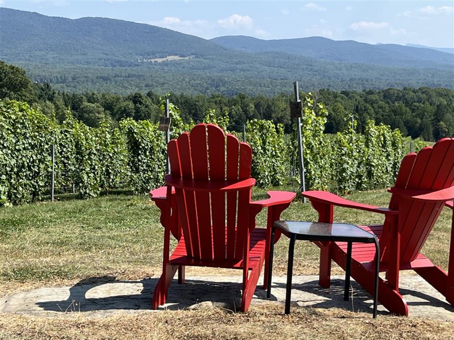 Vue sur les montagnes (&copy;Domaine Girouard)