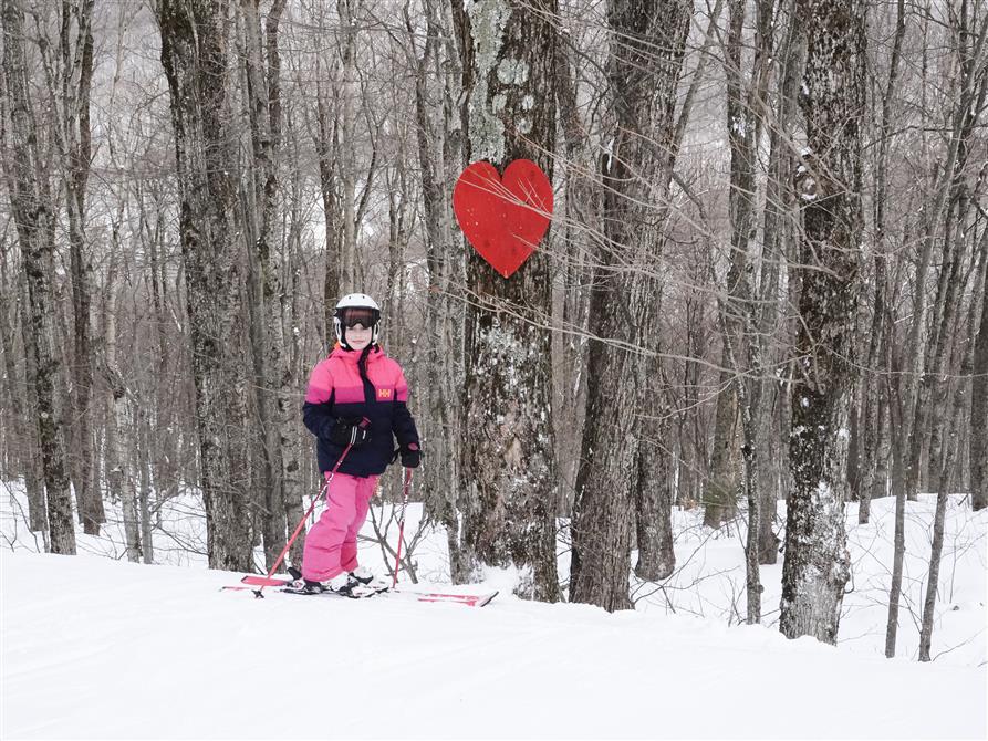 Coeur de Saint-Valentin (&copy;Mont SUTTON)