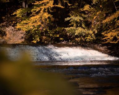 Rivière