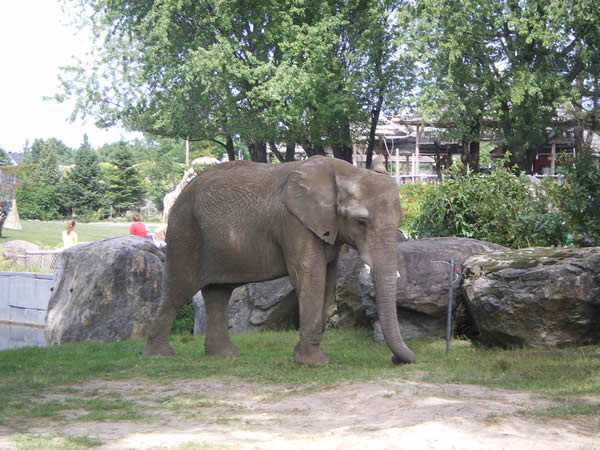 Zoo de Granby (&copy;Zoo de Granby)
