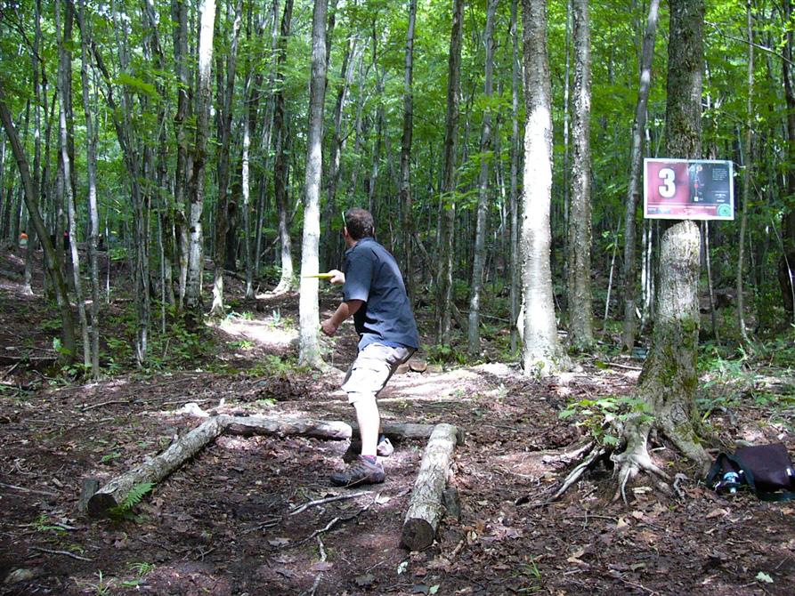 9 paniers de disc-golf en pleine forêt