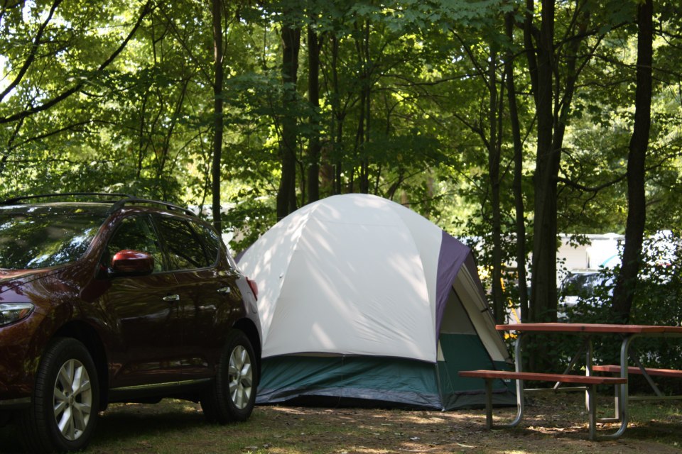 terrain boisé (tente) (&copy;Camping Bon-Jour)