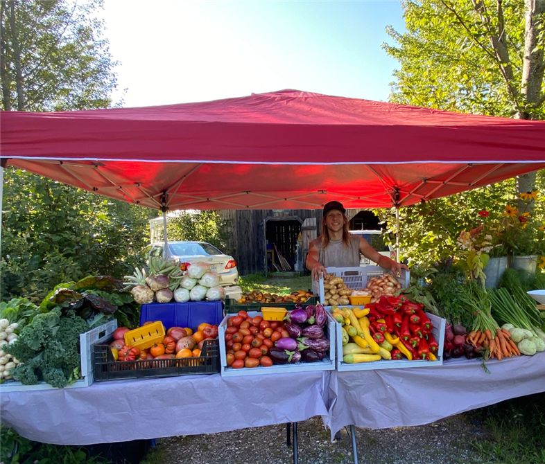 Marché de légumes (&copy;Espace Hors Champs)