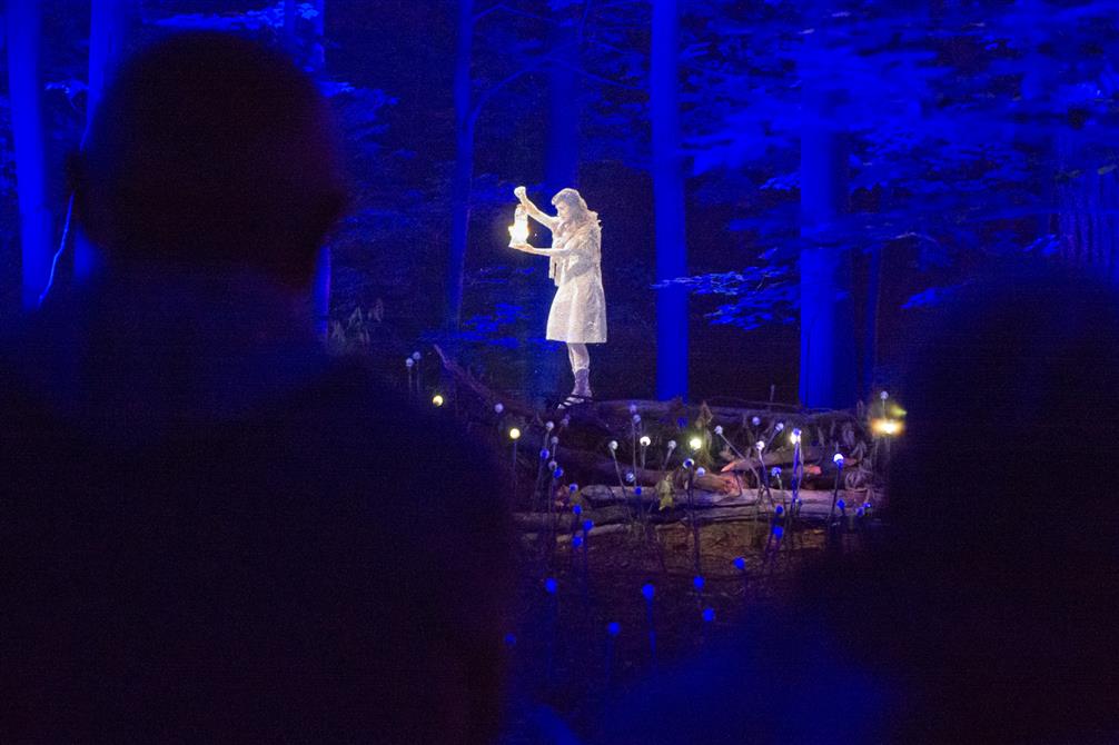 Foresta Lumina (&copy;Parc de la Gorge de Coaticook)