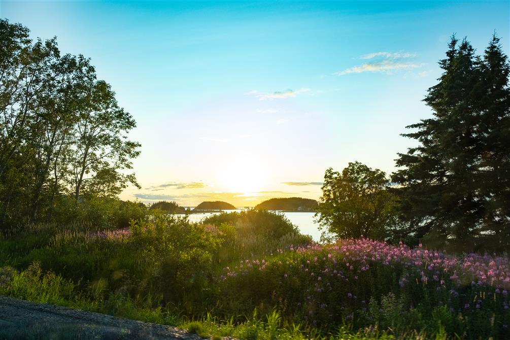 Concerts aux Îles du Bic (&copy;La Route des concerts)
