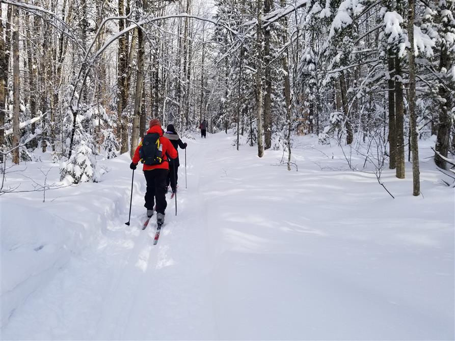 Ski de fond (&copy;Centre de villégiature Jouvence)