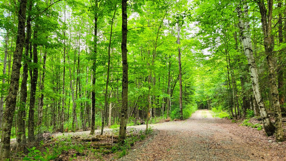 20220607_100005 (&copy;Cidrerie Pomme Sauvage)