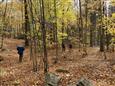 Marcheur des Bois - Randonnée gourmande