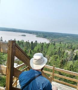 Sentiers pédestres et poste d'observation Grand Héron