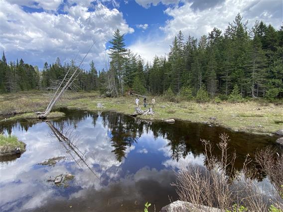 Marcheur des Bois inc. - 11