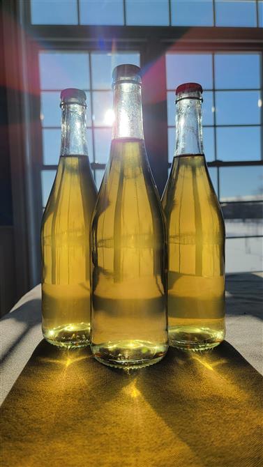 20250130_143933 (&copy;Cidrerie Pomme Sauvage)