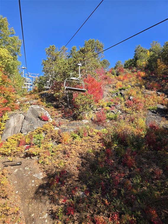 Remontée en télésiège