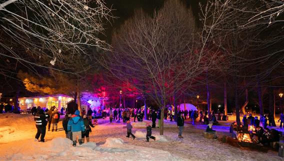 L'Électro-Glacial-1