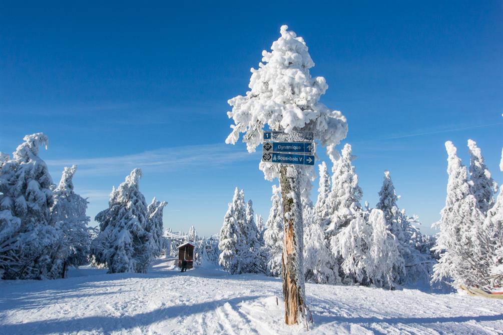 Mont SUTTON - Station de Ski au Québec dans les Cantons-de-l'Est –Costume  du Snow on the Beach : 5 thématiques pour vous inspirer - Mont SUTTON