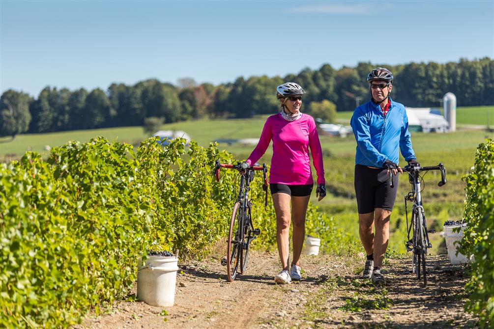 À vélo sur la Route des vins (&copy;Tourisme Cantons-de-l'Est)