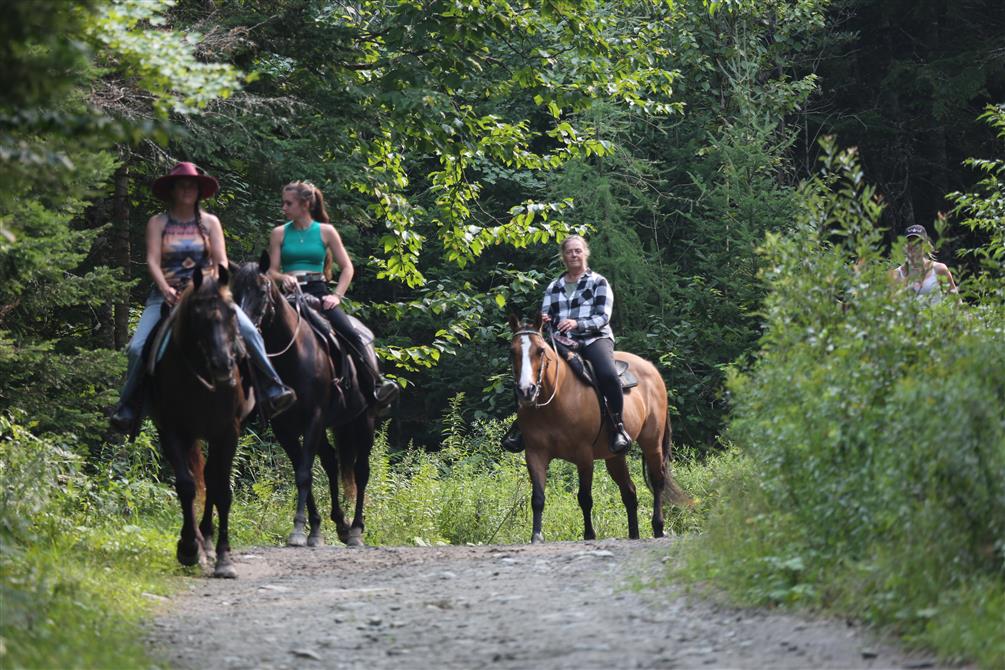 267A5396 (&copy;Dino Riccio)