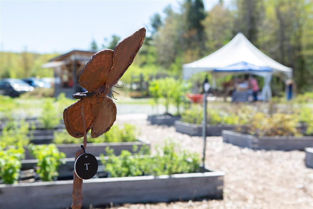 Pépinière (&copy;Anika Racine Photographe)