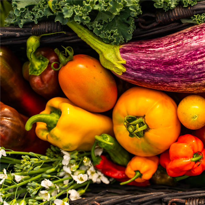 Nos légumes  (&copy;Charles Dion Photographe)