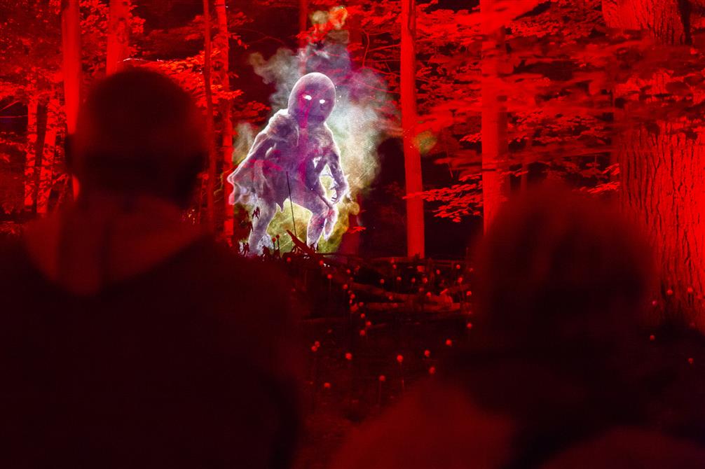 Foresta Lumina (&copy;Parc de la Gorge de Coaticook)