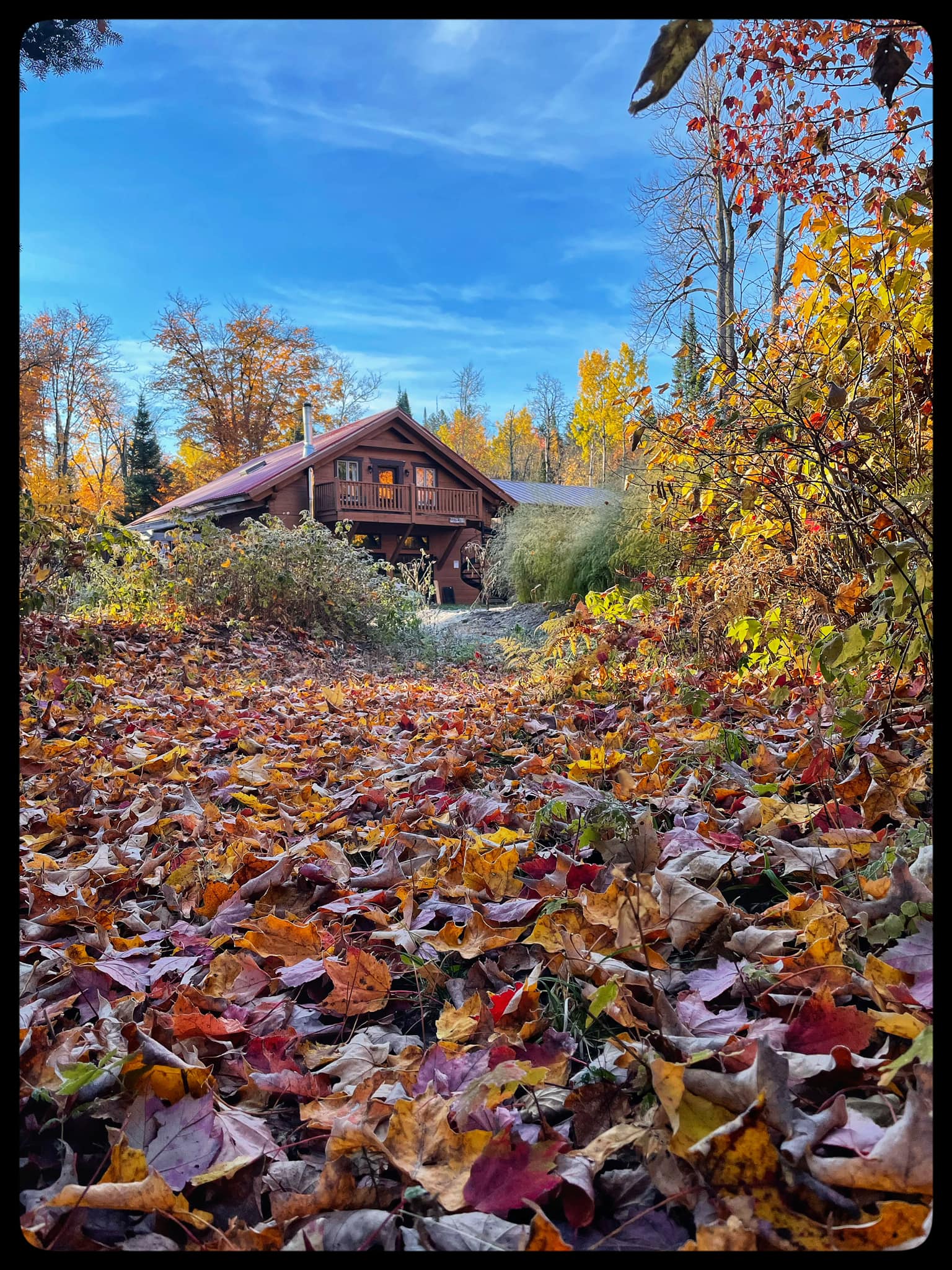 Gite en Automne