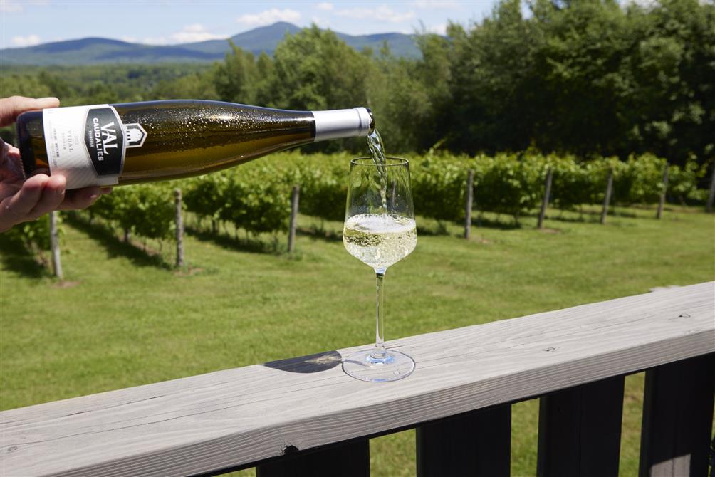 Vin blanc Vidal Val Caudalies (&copy;Jocelyn Michel)