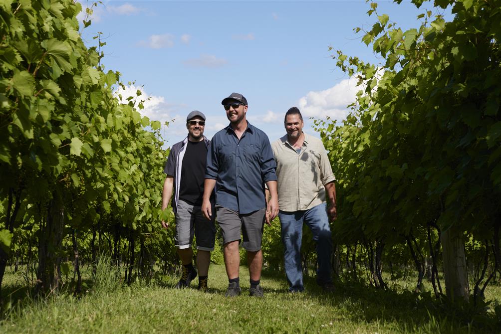 Dans les vignes (&copy;Jocelyn Michel)