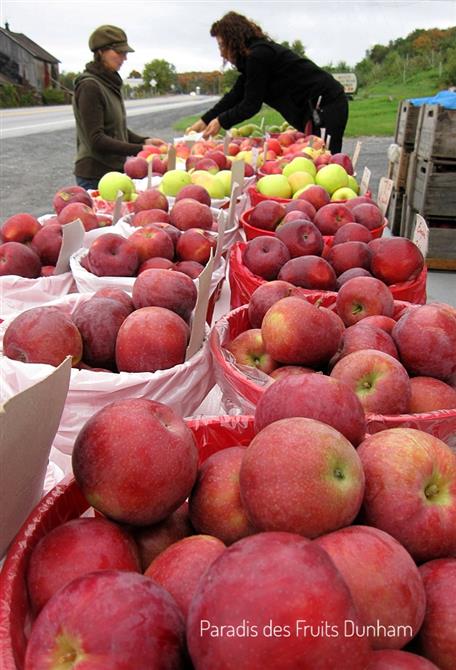Pommes (23 variétés), Poires, Prunes et Framboises d'automne (&copy;Au Paradis des Fruits, Ferme ECOLOGIQUE)