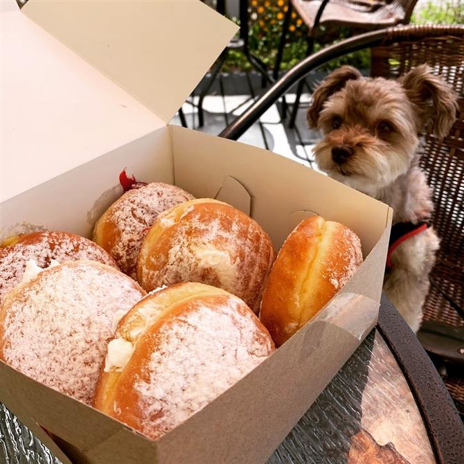 terrasse dog friendly (&copy;Dora boulangerie artisanale)