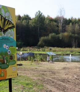 Centre de la nature de Farnham / Ornithologie
