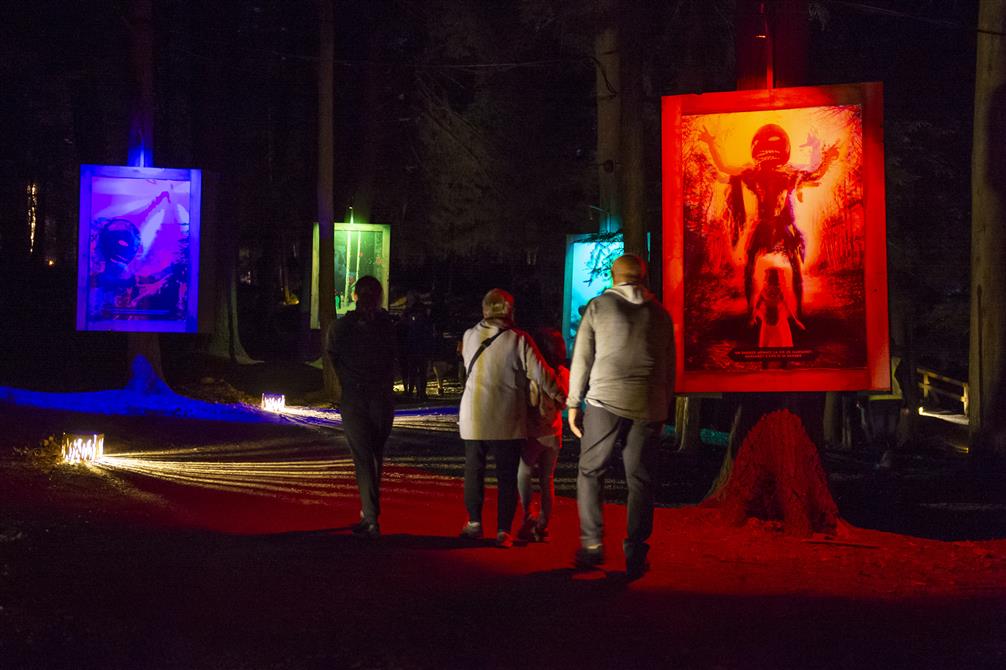 Foresta Lumina (&copy;Parc de la Gorge de Coaticook)