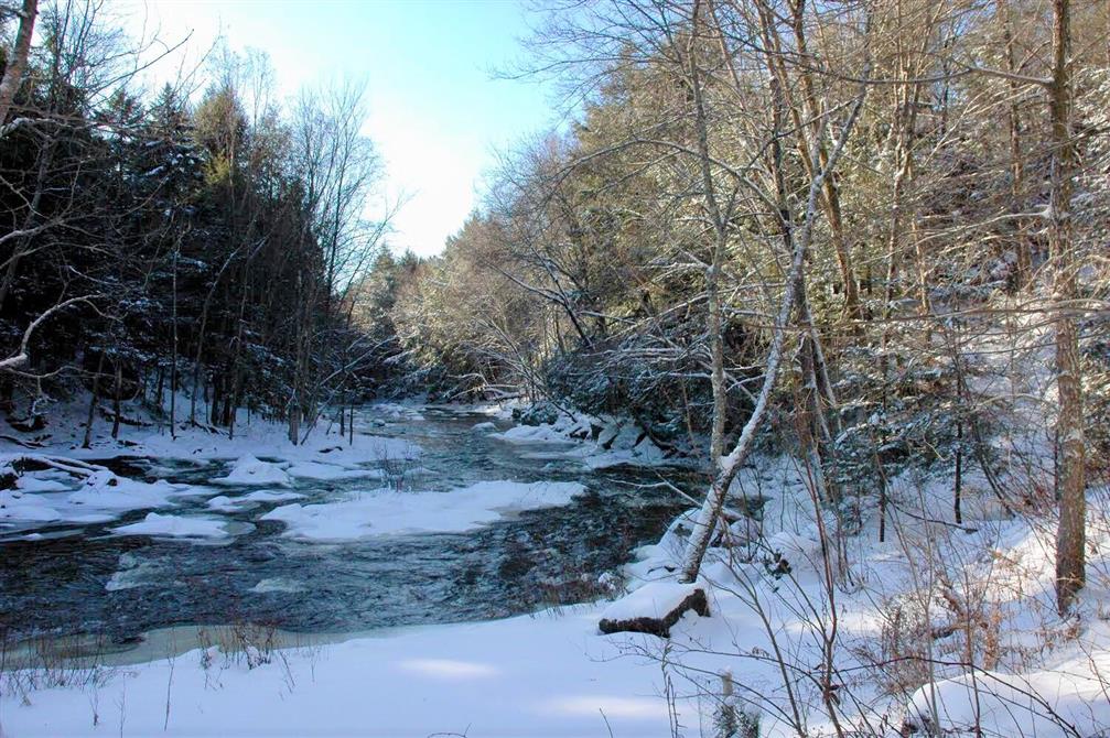 La rivière en hiver (&copy;Gîte Boisé Rivière)