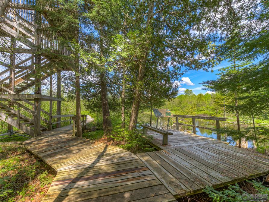 Marais Maskinongé - belvédère et tour d'observation (&copy;Société de gestion du Parc du lac Aylmer)