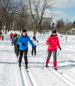 Parc du Mont-Royal