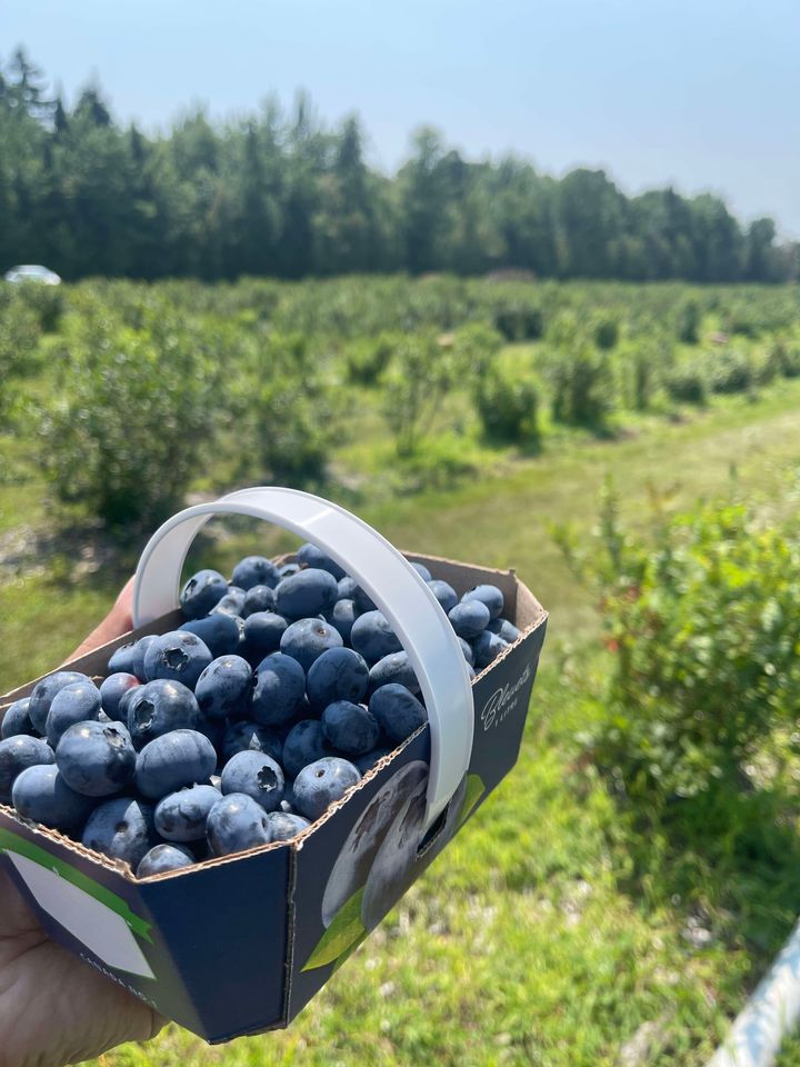 452463364_3683387415256551_2981839940141796605_n