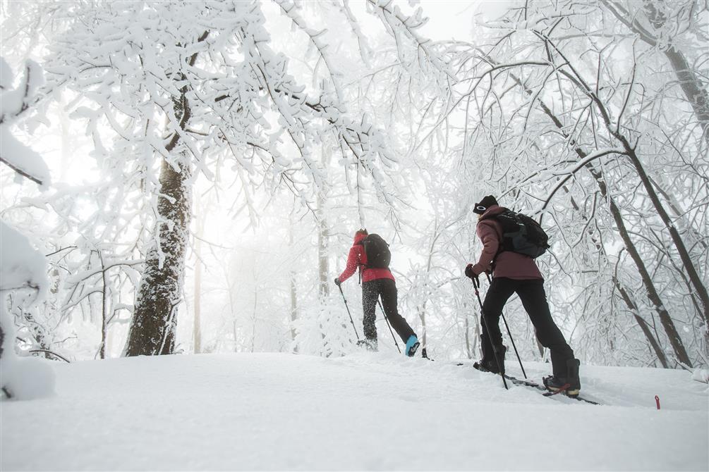 Randonnée alpine (&copy;Bromont, montagne d'expériences)