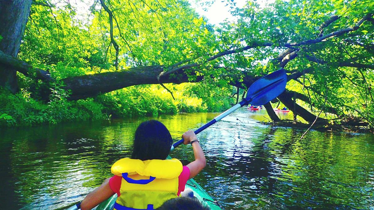excursion en kayak et canoe riviere Missisquoi (&copy;Canoë & Co. - Location canot et kayak)