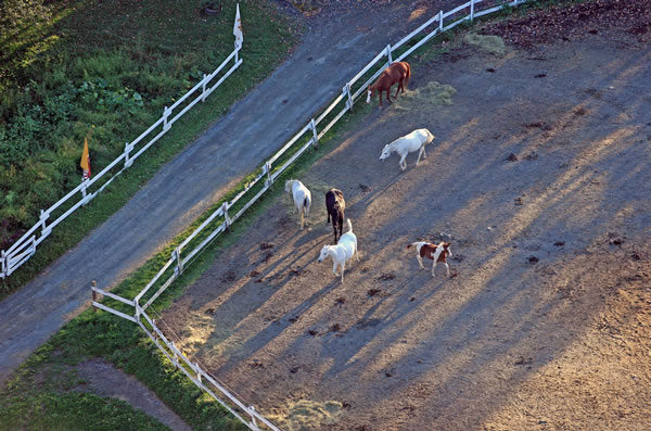 Les chevaux, vue aérienne (&copy;Centre d'équitation Jacques Robidas)