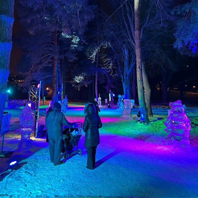 499525280_1277429234387152_7398928070096003776_n (&copy;Carnaval de Sherbrooke)