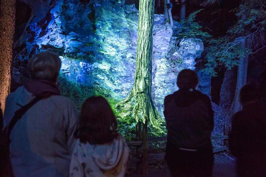 Foresta Lumina (&copy;Parc de la Gorge de Coaticook)