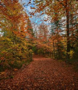 Parc régional Sainte-Agathe-des-Monts