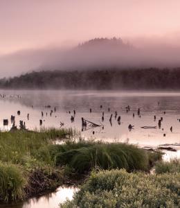 Parc national du Mont-Orford