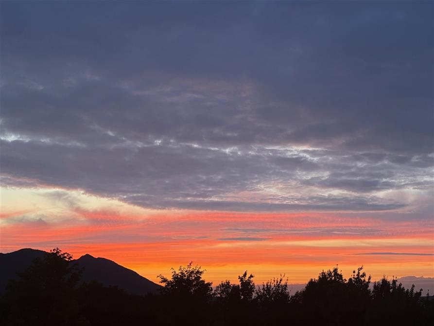 6. Domaine enchantée (&copy;DOMAINE DE LA FORÊT ENCHANTÉE)