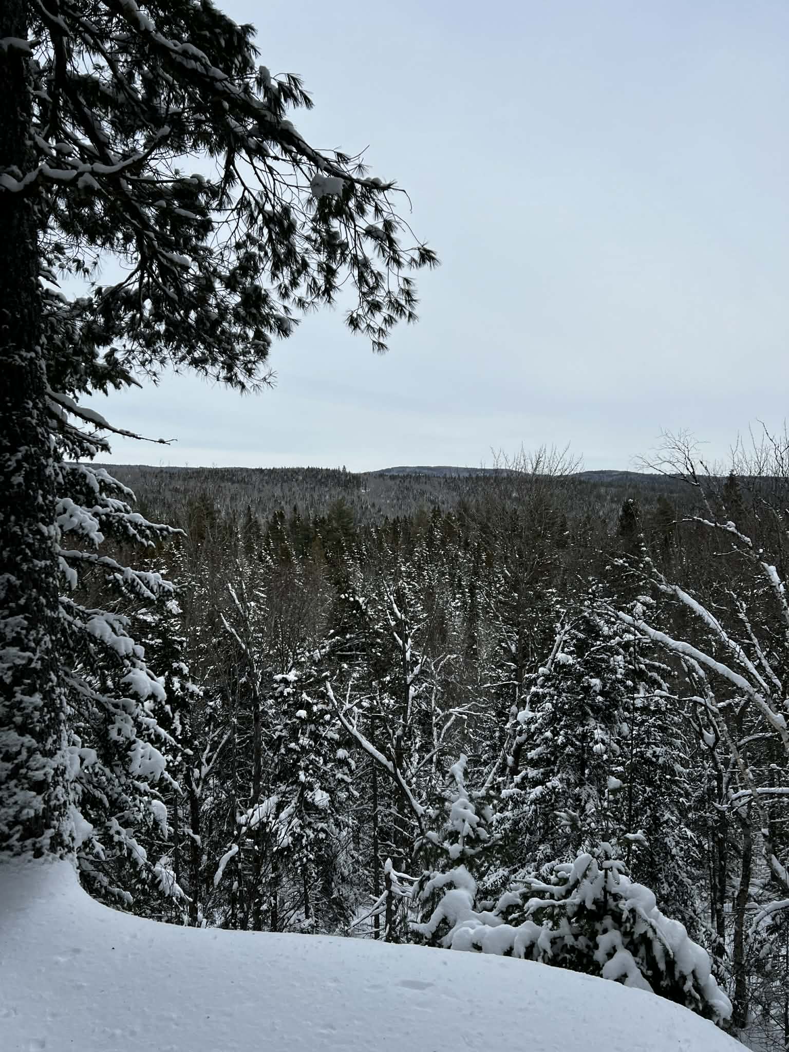 Point de vue hiver